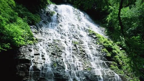 数字化高性能高性能